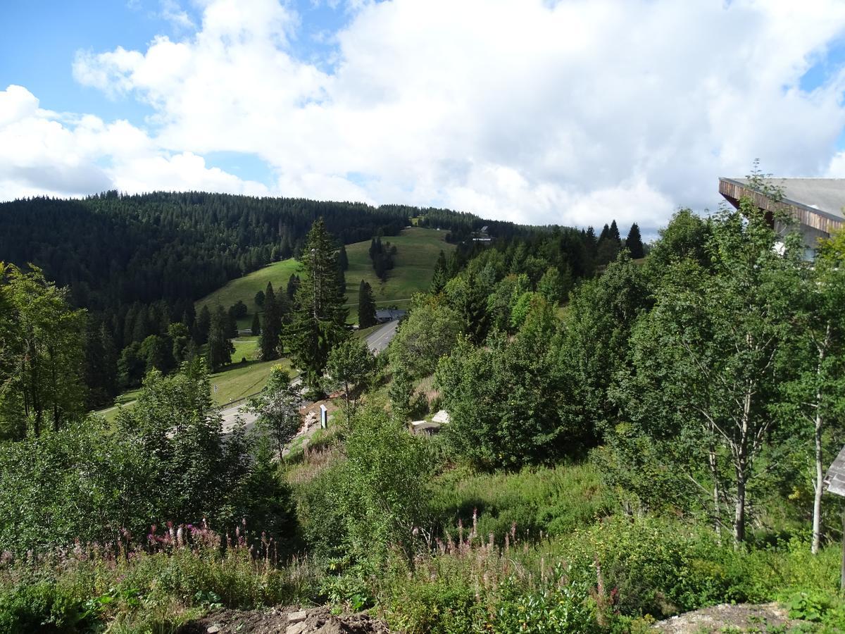'S Jaegermatt Feldberg (Baden-Wurttemberg) Exterior foto